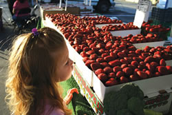 A young shopper eyes a table full of her favorite fruit: strawberries.