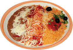 Chicken Enchilada