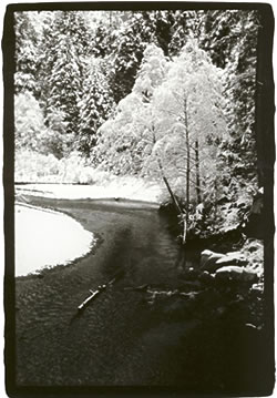 The South Fork of the Merced River at Wawona.