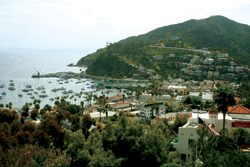 A weekend in Avalon on Catalina Island will make you forget all about whatever