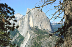 Bridalveil Creek Campground in Yosemite National Park is just a few short miles from Glacier Point, which offers jaw-dropping views of Half Dome and Yosemite Valley.