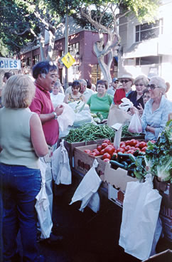 Farmers