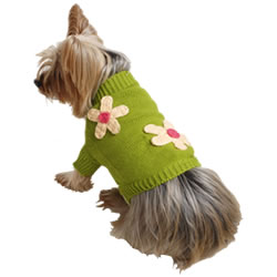 Her natural fur coat might not be warm enough for her this winter; increase her comfort and her style factor with a pup-perfect sweater.<BR><em><strong>JusMyStyle.com</strong></em>