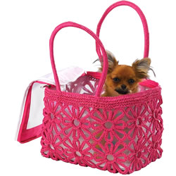 Our pets bring us immense joy. Show your appreciation with couture clothing or a designer carrying tote.<BR><em><strong>Festive Home<BR>866-244-9312<BR>www.Festivehome.com</strong></em>
