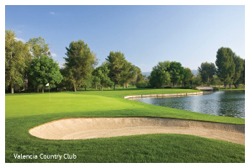 Valencia Country Club 799-1271