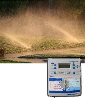 Adjust your sprinkler heads to ensure that water goes where it