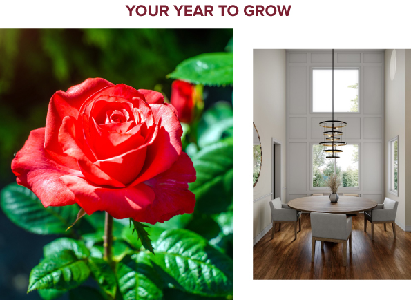 courtesy of Shutterstock (left)