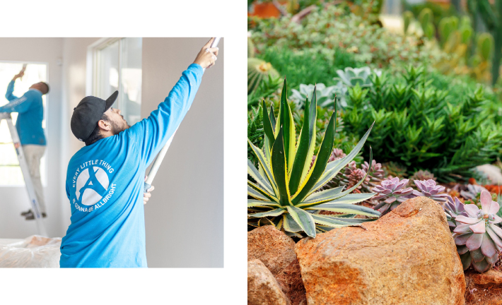 courtesy of Shutterstock (right)