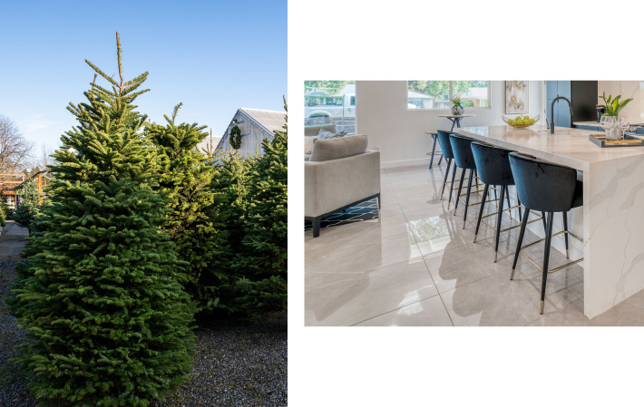 courtesy of Shutterstock