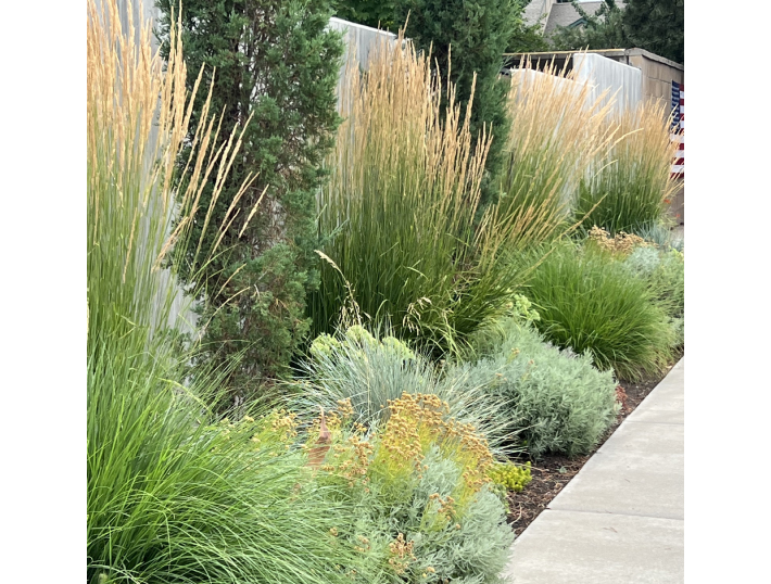 courtesy of Shutterstock