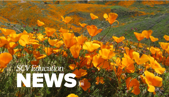 courtesy of Shutterstock