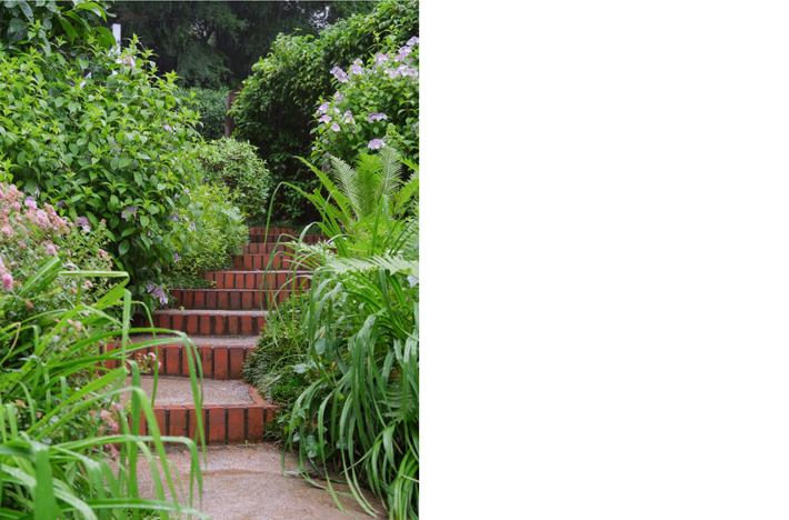 courtesy of Shutterstock