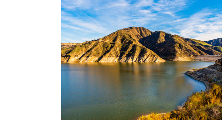 courtesy of Shutterstock