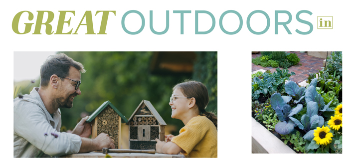 courtesy of Shutterstock