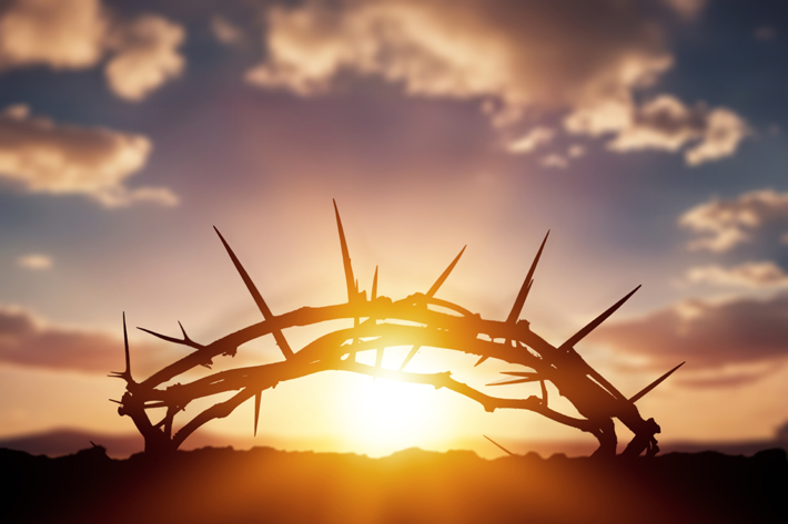 courtesy of Shutterstock